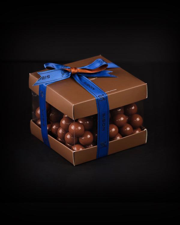 Dragee milk chocolate hazelnut box